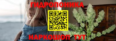 метадон Кингисепп