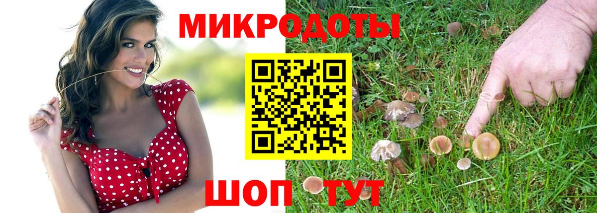 Галлюциногенные грибы Psilocybine cubensis  Вход с VPN  Кисловодск  Галлюциногенные грибы GOLDEN TEACHER 