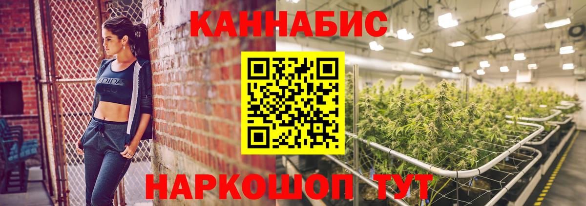 Бошки Шишки конопля Кисловодск